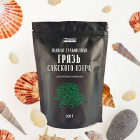 Грязь илово-сульфидная 0,3кг (дой-пак)